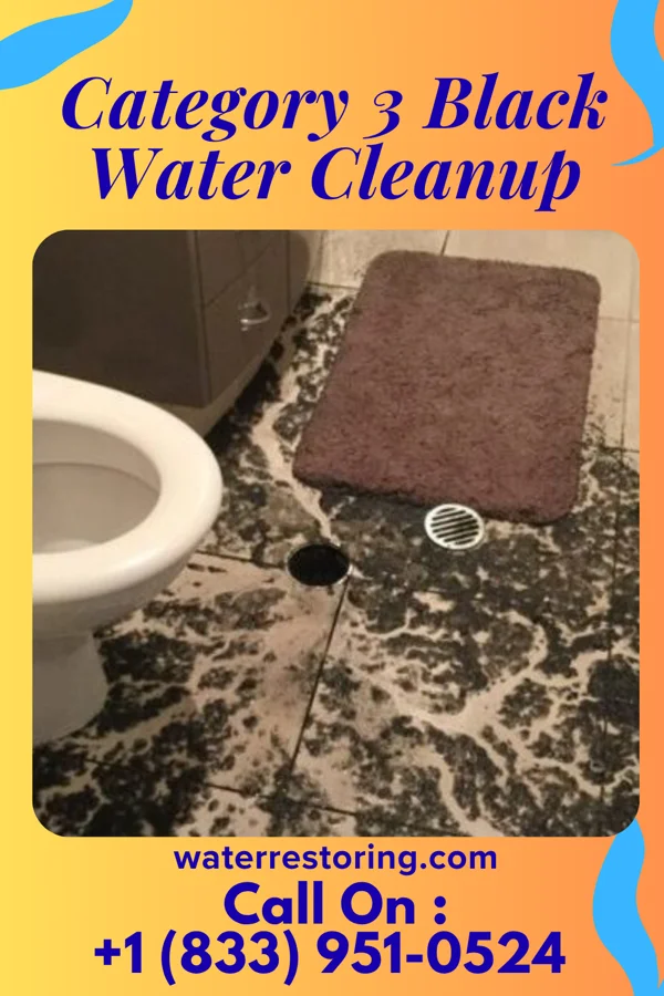 Category 3 Black Water Cleanup in Weimar, TX