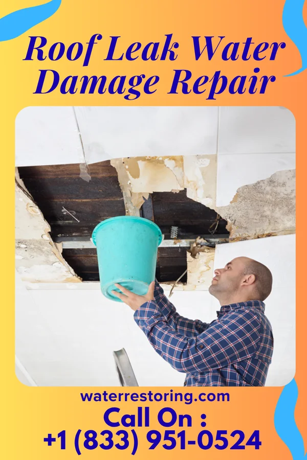 Roof Leak Water Damage Repair in Weimar, TX